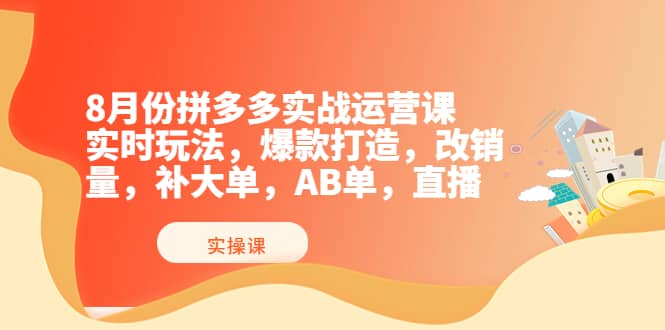 8月份拼多多实战运营课，实时玩法，爆款打造，改销量，补大单，AB单，直播_金轩项目库