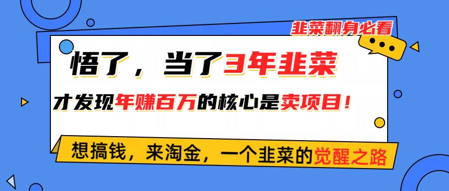 悟了，当了3年韭菜，才发现网赚圈年赚100万的核心是卖项目，含泪分享！_金轩项目库