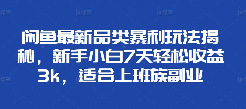 闲鱼最新品类暴利玩法揭秘，新手小白7天轻松赚3000+，适合上班族副业_金轩项目库