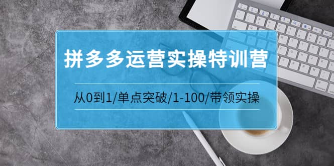 拼多多运营实操特训营：从0到1/单点突破/1-100/带领实操 价值2980元_金轩项目库