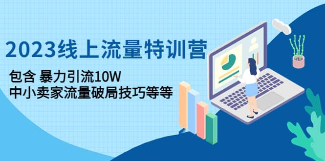 2023线上流量特训营：中小卖家流量破局技巧等等_金轩项目库