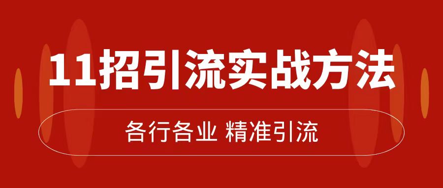 精准引流术：11招引流实战方法，让你私域流量加到爆（11节课完整版）_金轩项目库