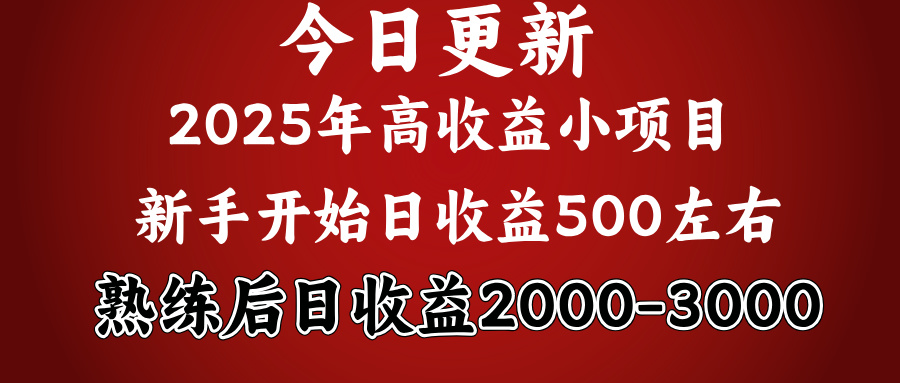 好项目一眼就能看出来，日收益1000，长久可做，2025拼的就是我比你勤奋_金轩项目库