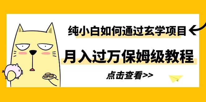 纯小白如何通过玄学项目月入过万保姆级教程_金轩项目库