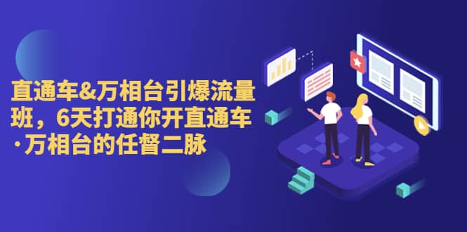 直通车+万相台引爆流量班，6天打通你开直通车·万相台的任督 二脉_金轩项目库
