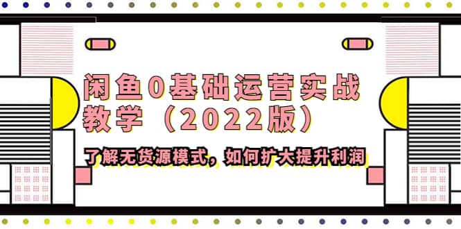闲鱼0基础运营实战教学（2022版）了解无货源模式，如何扩大提升利润_金轩项目库