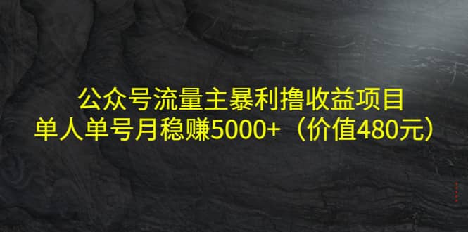 公众号流量主暴利撸收益项目，单人单号月稳赚5000+（价值480元）_金轩项目库