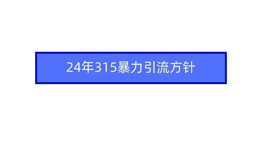 2024年315暴力引流方针_金轩项目库
