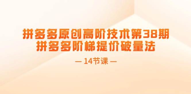 拼多多原创高阶技术第38期，拼多多阶梯提价破量法（14节课）_金轩项目库