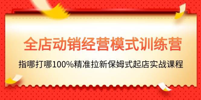 全店动销-经营模式训练营，指哪打哪100%精准拉新保姆式起店实战课程_金轩项目库