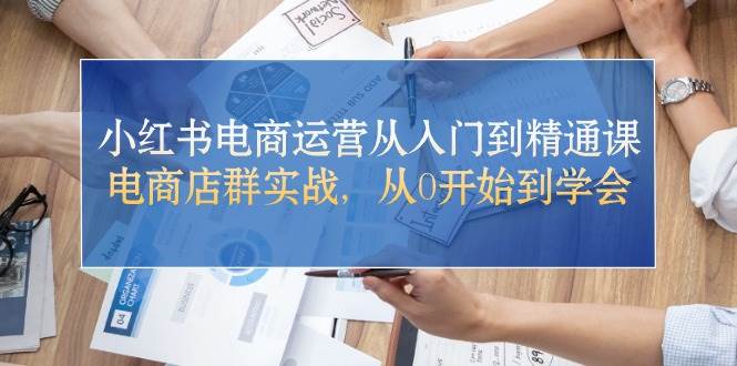 小红书电商运营从入门到精通课，电商店群实战，从0开始到学会_金轩项目库