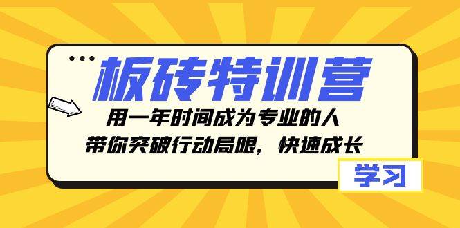 板砖特训营，用一年时间成为专业的人，带你突破行动局限，快速成长_金轩项目库