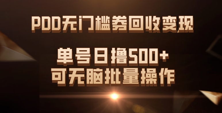 PDD无门槛券回收变现，单号日撸500+，可无脑_金轩项目库