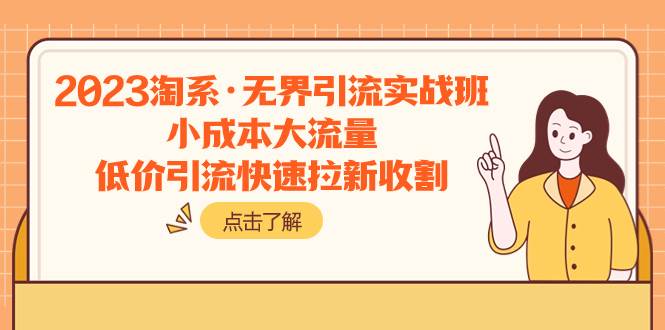 2023淘系·无界引流实战班：小成本大流量，低价引流快速拉新收割_金轩项目库