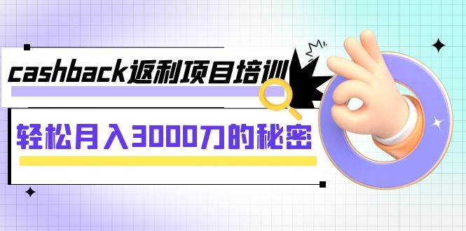 cashback返利项目培训：轻松月入3000刀的秘密（8节课）_金轩项目库