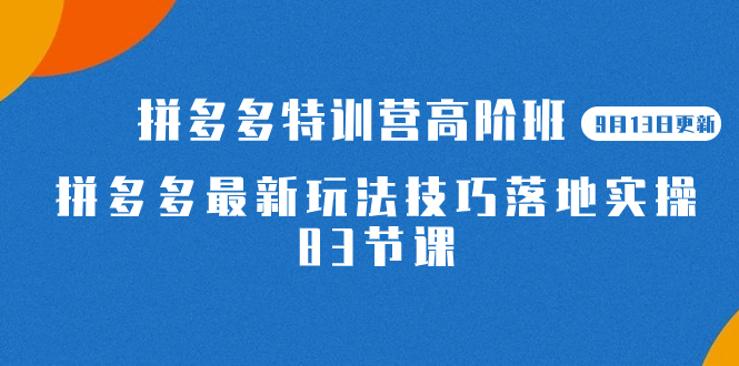 2023拼多多·特训营高阶班【9月13日更新】拼多多最新玩法技巧落地实操-83节_金轩项目库