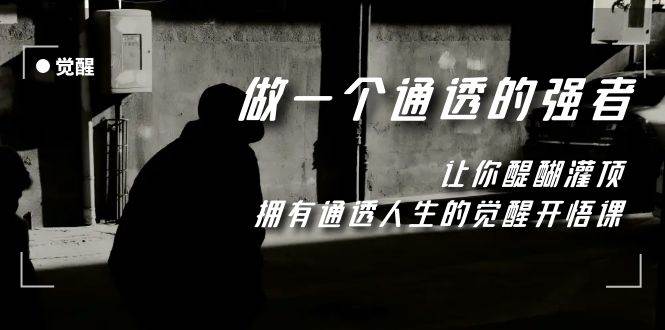 觉醒-做一个通透强者，让你醍醐灌顶，拥有通透人生，掌握强大的秘密_金轩项目库