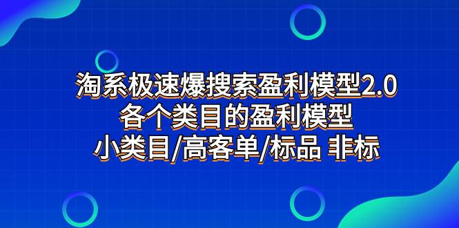 淘系极速爆搜索盈利模型2.0，各个类目的盈利模型，小类目/高客单/标品 非标_金轩项目库