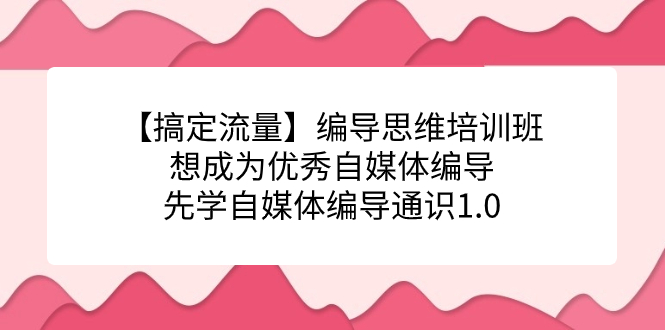 【搞定流量】编导思维培训班，想成为优秀自媒体编导先学自媒体编导通识1.0_金轩项目库