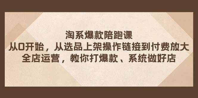 淘系爆款陪跑课 从选品上架操作链接到付费放大 全店运营 打爆款 系统做好店_金轩项目库