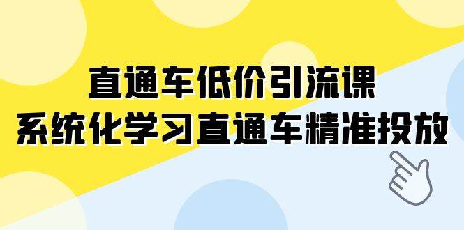 直通车-低价引流课，系统化学习直通车精准投放（14节课）_金轩项目库