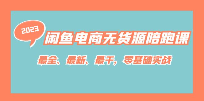 闲鱼电商无货源陪跑课，最全、最新、最干，零基础实战！_金轩项目库