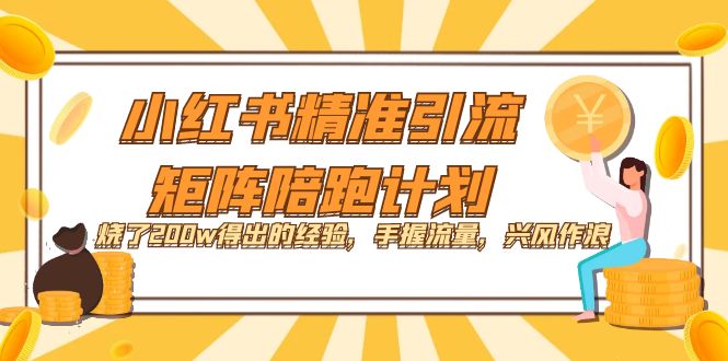 小红书精准引流·矩阵陪跑计划：烧了200w得出的经验，手握流量，兴风作浪！_金轩项目库