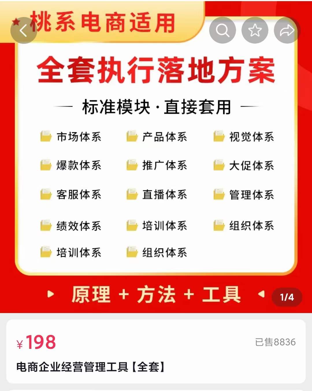 外面卖198·电商企业经营管理工具：全套执行落地方案 标准模块·直接套用_金轩项目库