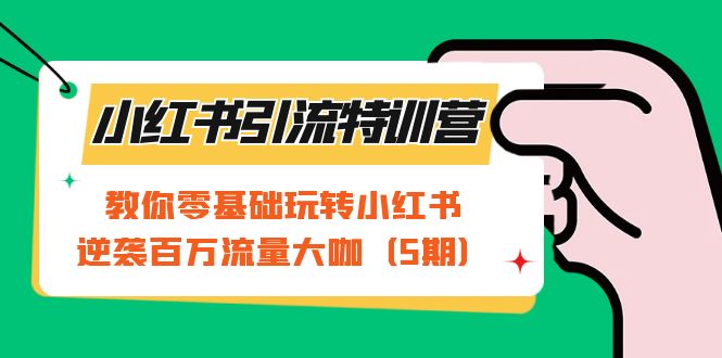 小红书引流特训营-第5期：教你零基础玩转小红书，逆袭百万流量大咖_金轩项目库