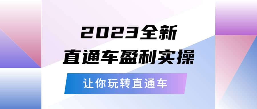 2023全新直通车·盈利实操：从底层，策略到搭建，让你玩转直通车_金轩项目库
