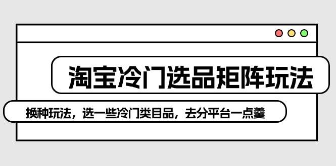 淘宝冷门选品矩阵玩法：换种玩法，选一些冷门类目品，去分平台一点羹_金轩项目库