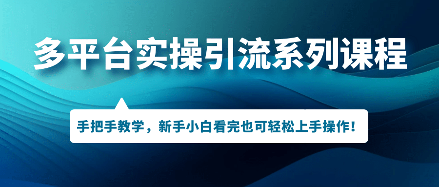 多平台实操引流系列课程，手把手教学，新手小白看完也可轻松上手引流操作_金轩项目库