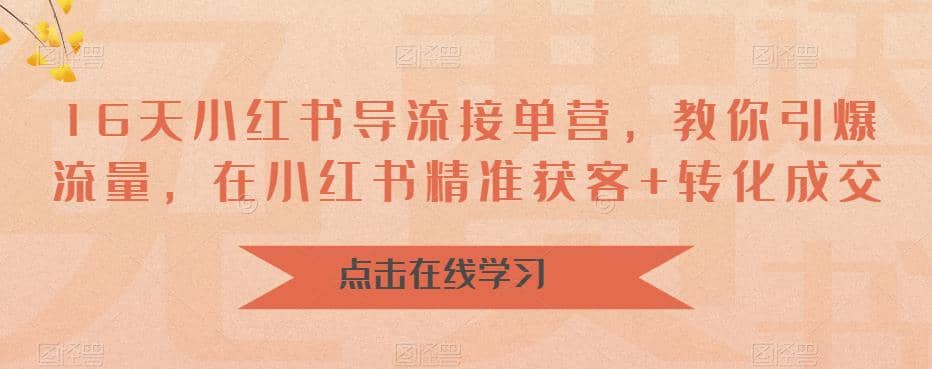 16天-小红书 导流接单营，教你引爆流量，在小红书精准获客+转化成交_金轩项目库