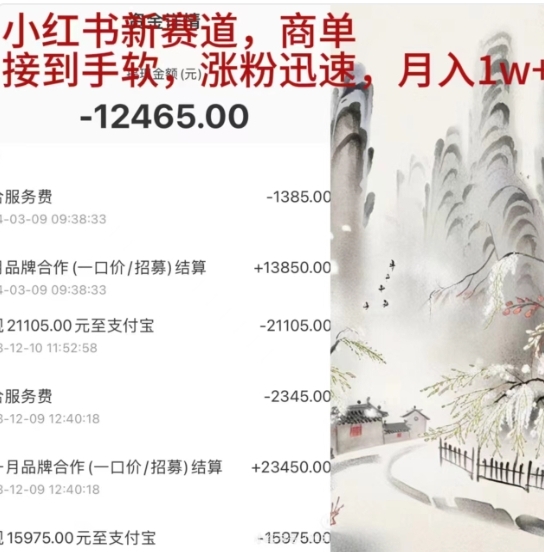 小红书新赛道，商单接到手软，涨粉迅速，一个月1w+_金轩项目库