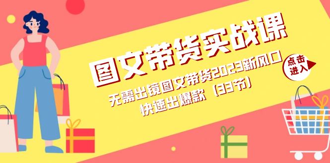 图文带货实战课：无需出镜图文带货2023新风口，快速出爆款（33节）_金轩项目库