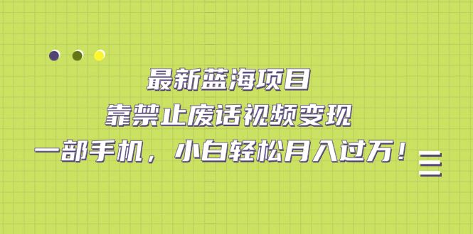 最新蓝海项目，靠禁止废话视频变现，一部手机，小白轻松月入过万！_金轩项目库