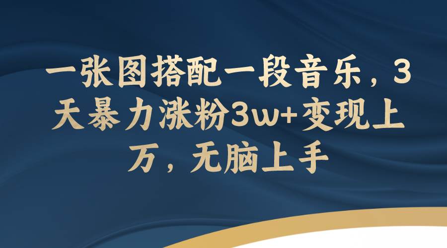 一张图搭配一段音乐，3天暴力涨粉3w+变现上万，无脑上手_金轩项目库