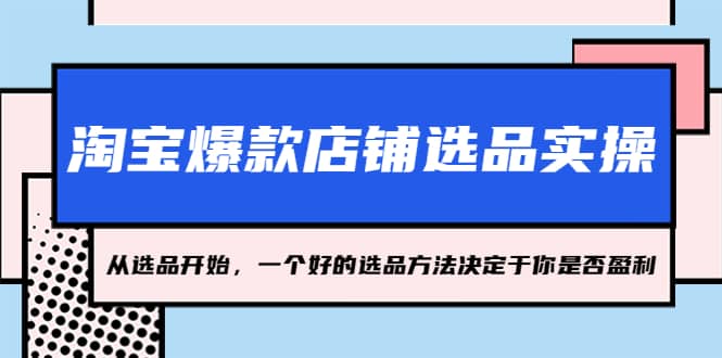 淘宝爆款店铺选品实操，2023从选品开始，一个好的选品方法决定于你是否盈利_金轩项目库