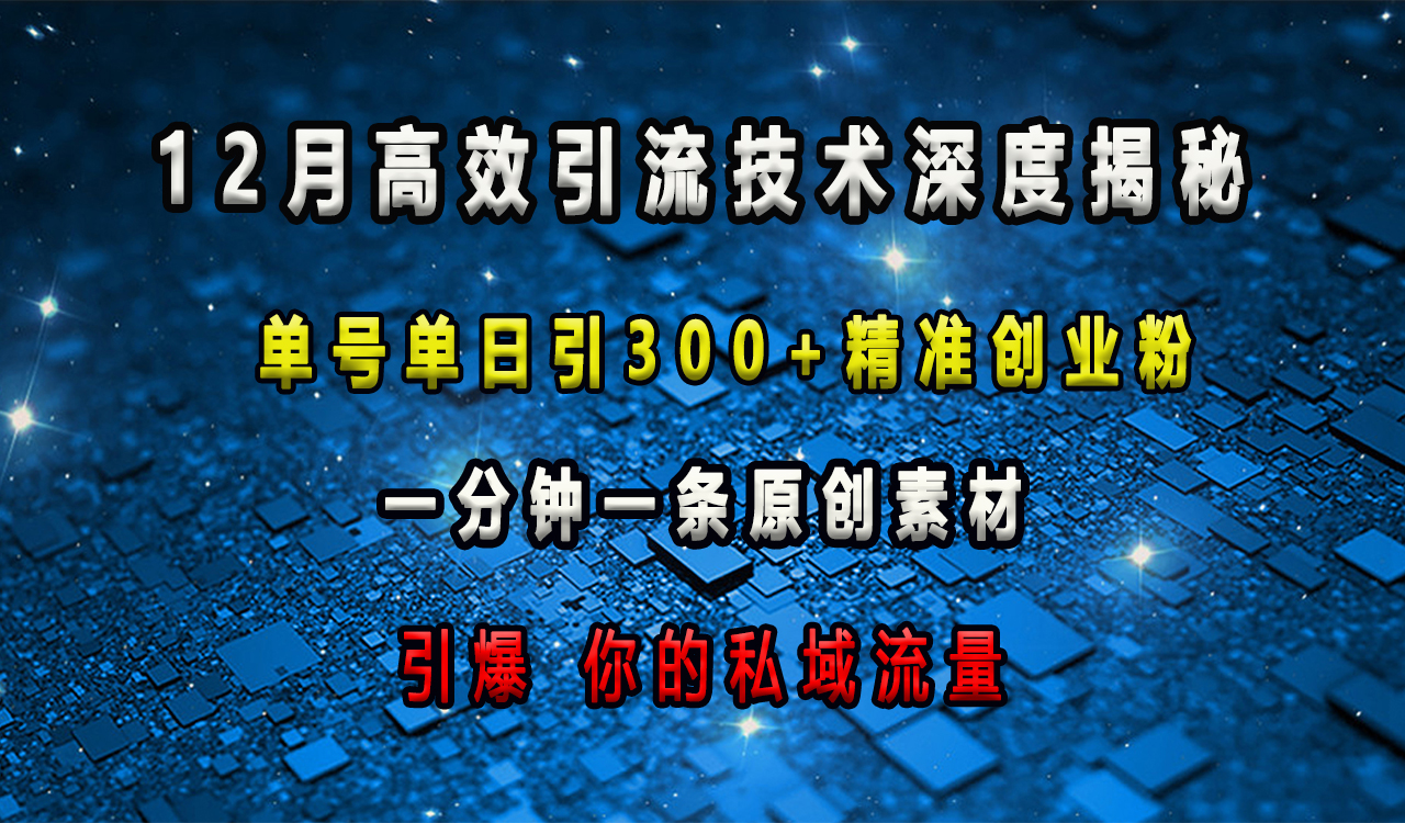 12月高效引流技术深度揭秘 ，单号单日引300+精准创业粉，一分钟一条原创素材，引爆你的私域流量_金轩项目库