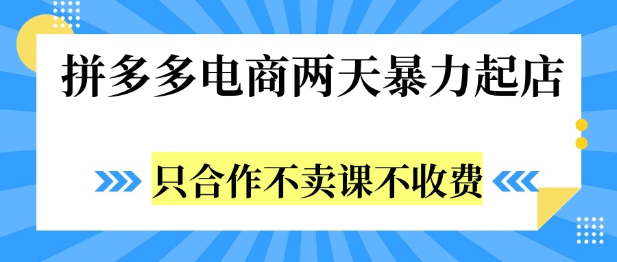 拼多多两天暴力起店，只合作不卖课不收费_金轩项目库