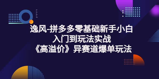 拼多多零基础新手小白入门到玩法实战《高溢价》异赛道爆单玩法实操课_金轩项目库