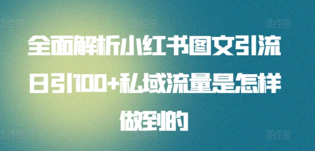全面解析小红书图文引流日引100私域流量是怎样做到的_金轩项目库