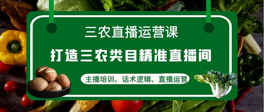 三农直播运营课：打造三农类目精准直播间，主播培训、话术逻辑、直播运营_金轩项目库
