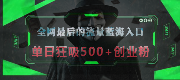 全网最后的流量蓝海入口，半小时引流50+创业粉，单日狂吸500+创业粉_金轩项目库