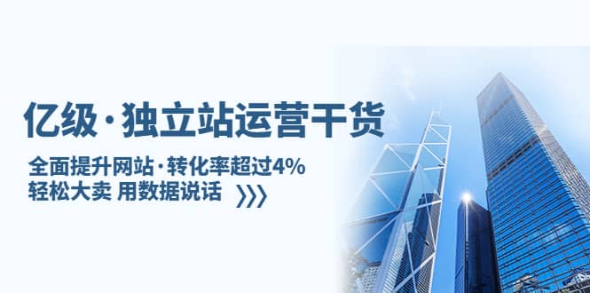 独立站运营干货：全面提升网站·转化率超过4%，轻松大卖 用数据说话_金轩项目库