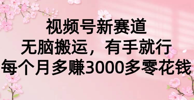 视频号新赛道，无脑搬运，有手就行，每个月多赚3000多零花钱_金轩项目库