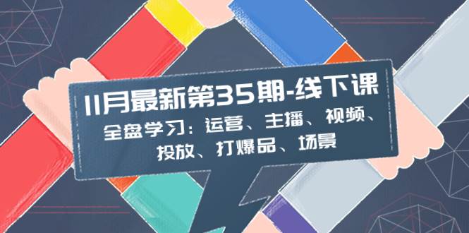 11月最新-35期-线下课：全盘学习：运营、主播、视频、投放、打爆品、场景_金轩项目库