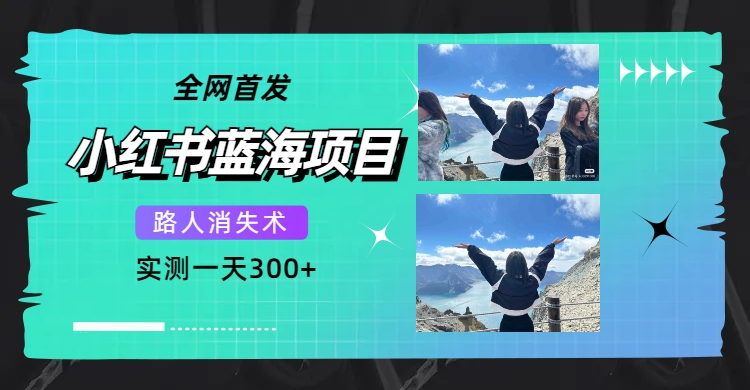 全网首发，小红书蓝海项目，路人消失术，实测一天300+（教程+工具）_金轩项目库
