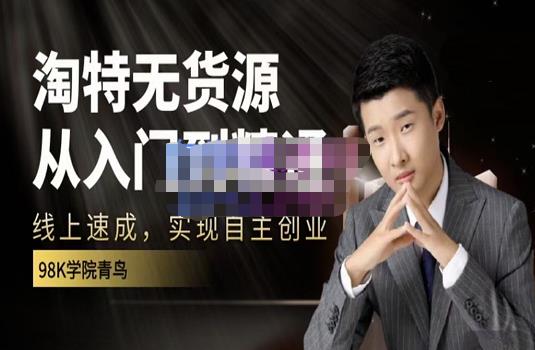 98k学院的淘特无货源线上速成课，从入门到精通，让你最小投入，最高回报_金轩项目库