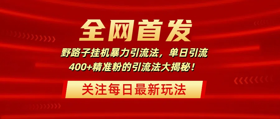 全网首发，野路子挂机暴力引流法，单日引流400+精准粉的引流法大揭秘！_金轩项目库